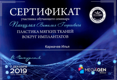 Сертификат Кармачёва Ильи