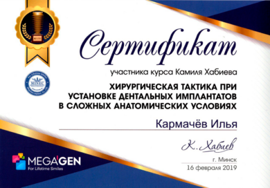 Сертификат Кармачёва Ильи