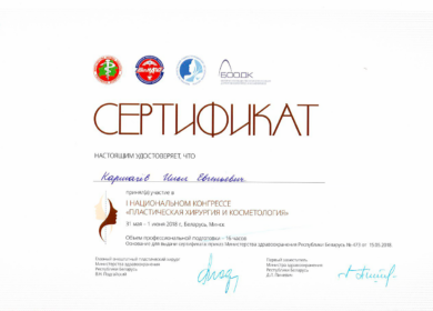 Сертификат Кармачёва Ильи